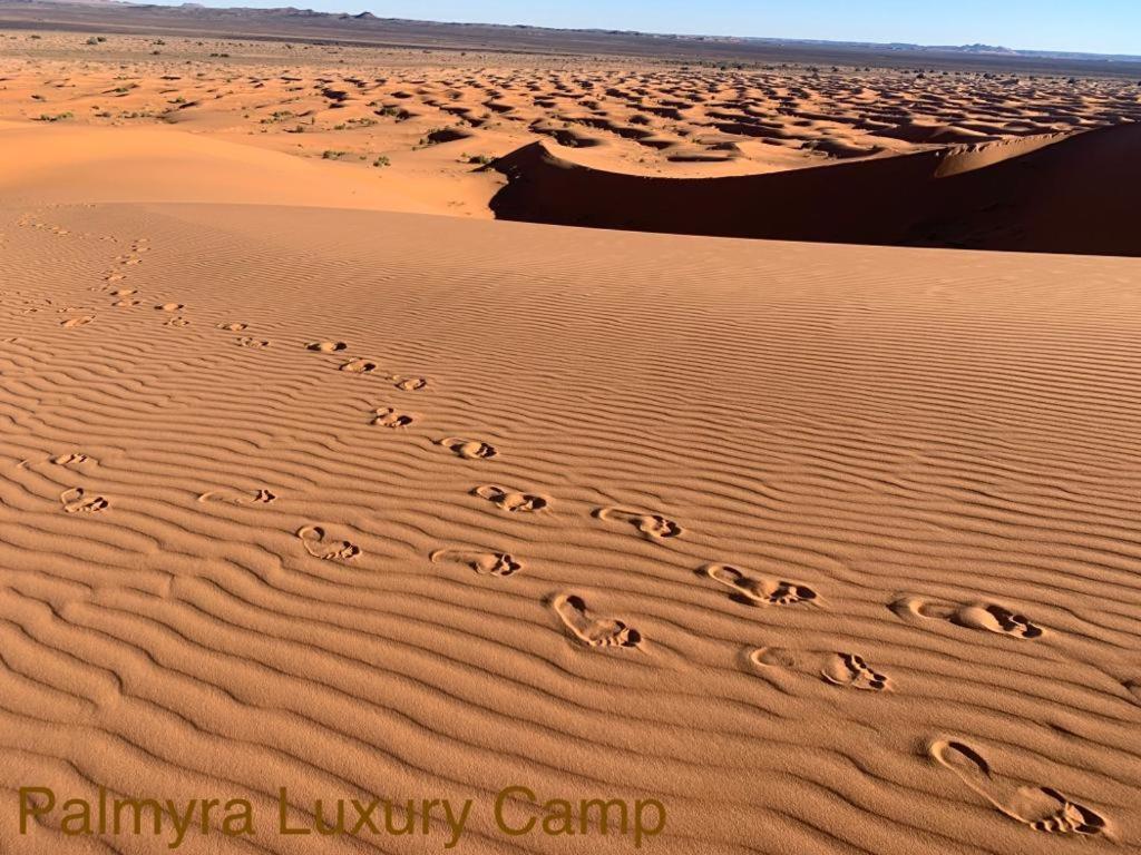 梅尔祖卡 Palmyra Luxury Camp酒店 外观 照片