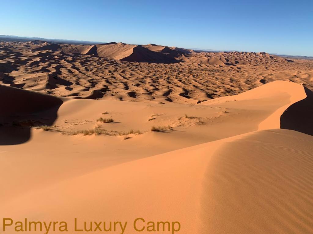 梅尔祖卡 Palmyra Luxury Camp酒店 外观 照片